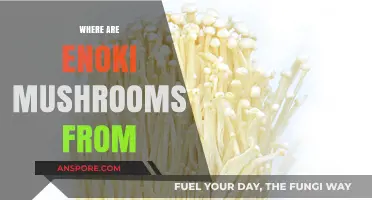 Enoki Mushrooms: Where They Originated and How They're Used