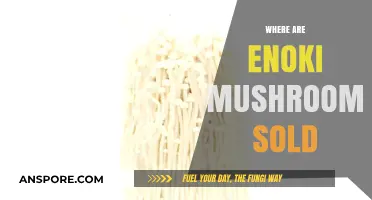 Enoki Mushrooms: Where to Buy and How to Store