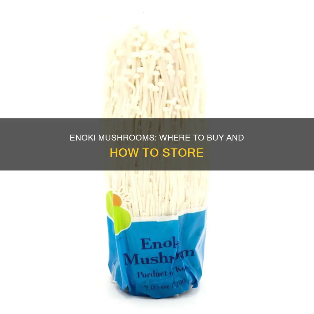 where are enoki mushrooms sold