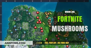Fortnite Mushroom Locations: Where to Find Them