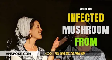 Infected Mushroom: Their Musical Journey's Origin