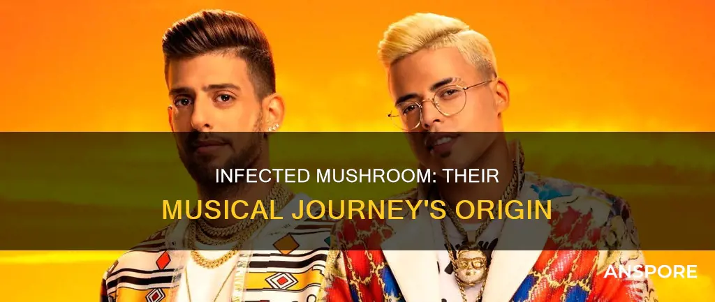where are infected mushroom from