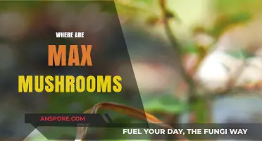Finding Max Mushrooms: A Comprehensive Guide