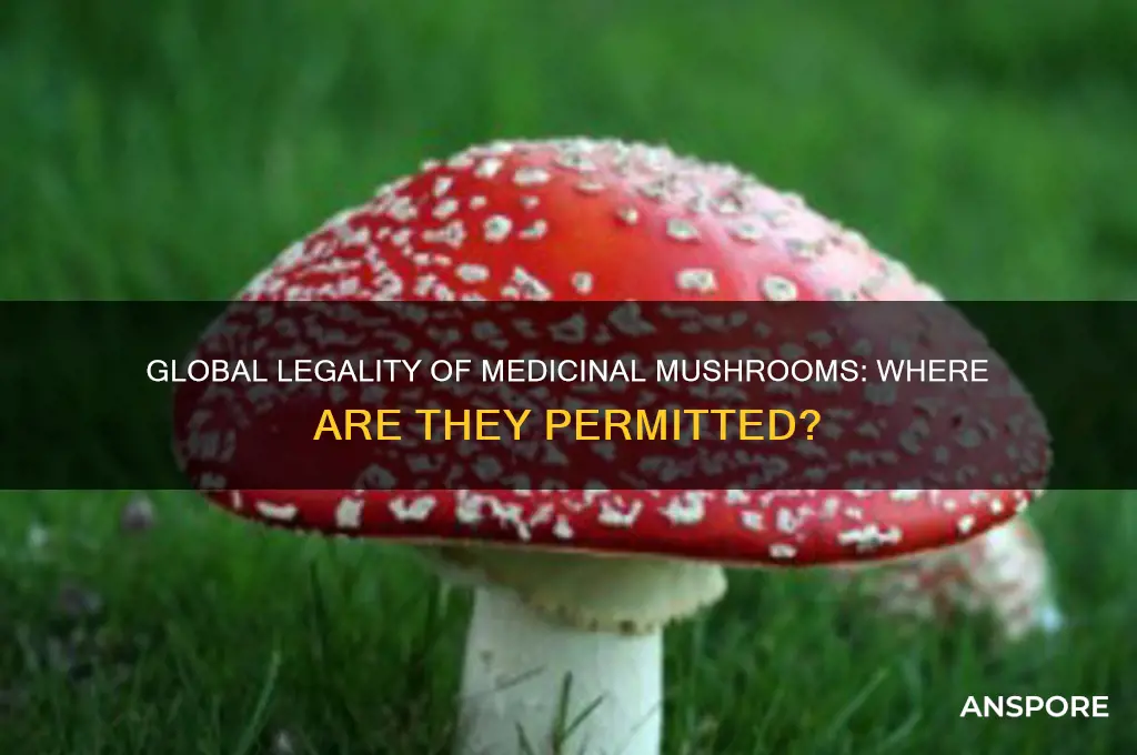where are medicinal mushrooms legal