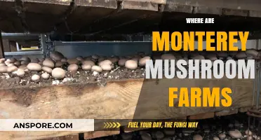 Monterey Mushroom Farms: Locations and Fresh Produce