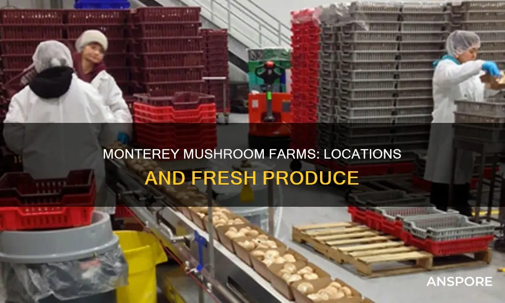 where are monterey mushroom farms