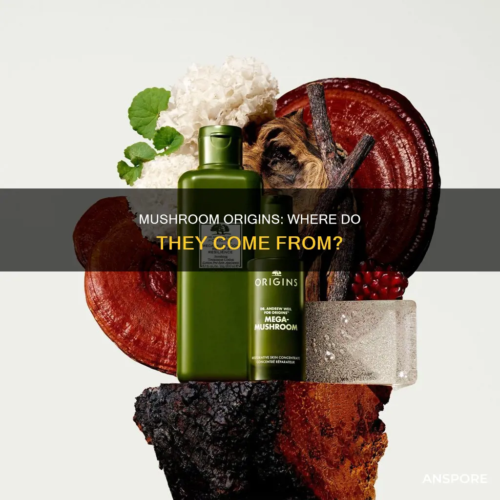 where are most mushrooms from