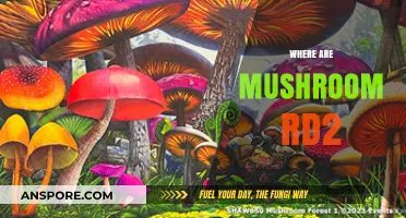 Mushroom RD2: Where Are They Hiding?