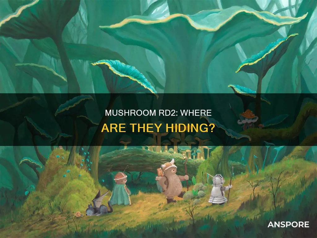 where are mushroom rd2