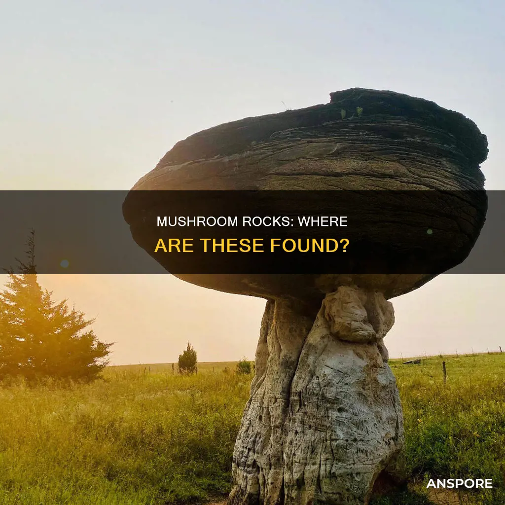 where are mushroom rocks found