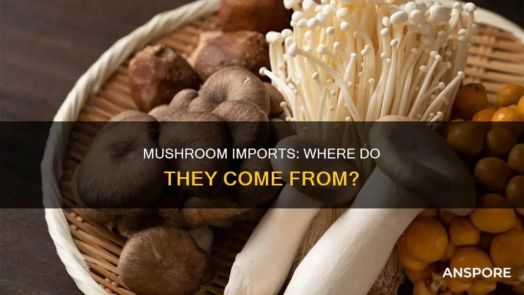 where are mushrooms imported from