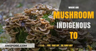 Mushrooms: Indigenous Origins and Their Ancient History