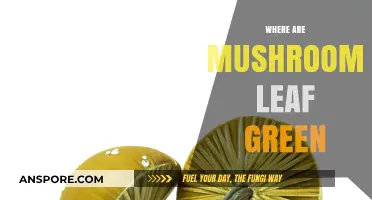 Mushroom Mystery: Why Are They Green?