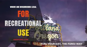 Exploring Legal Mushroom Use: Where Recreational Psilocybin is Allowed