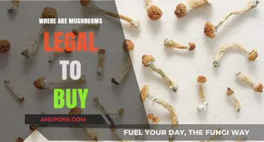 Where to Legally Buy Mushrooms: A Global Guide to Psilocybin Laws