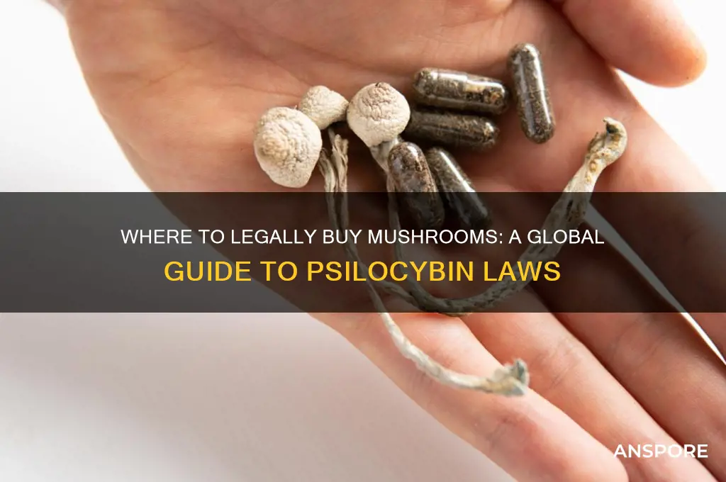 where are mushrooms legal to buy