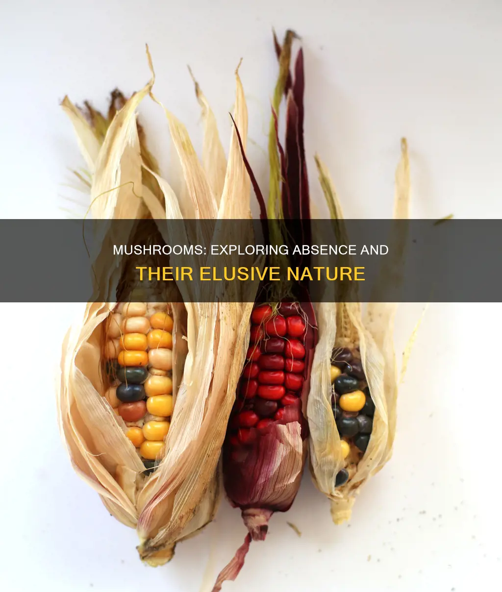 where are mushrooms not found