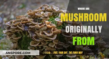 Mushrooms: Origins and Ancient History