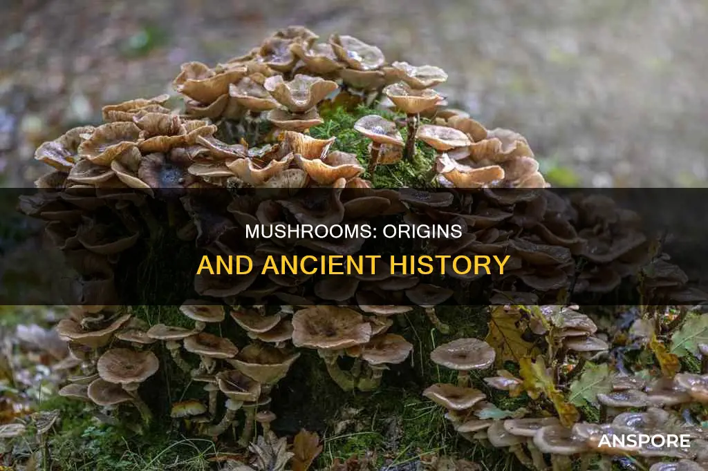where are mushrooms originally from