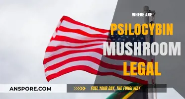 Exploring Global Psilocybin Laws: Where Magic Mushrooms Are Legal