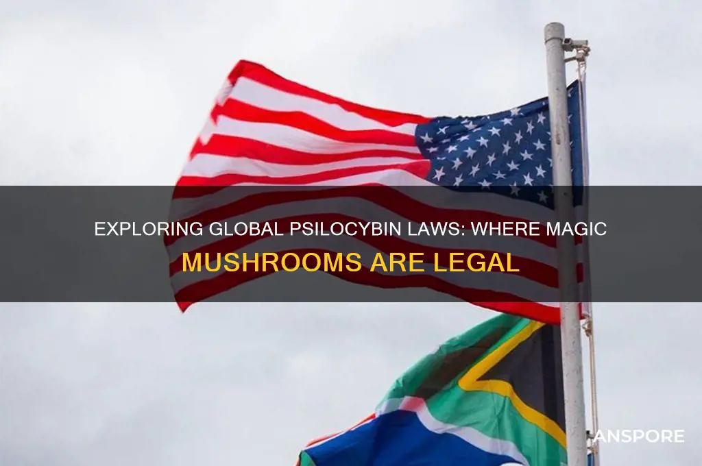 where are psilocybin mushrooms legal