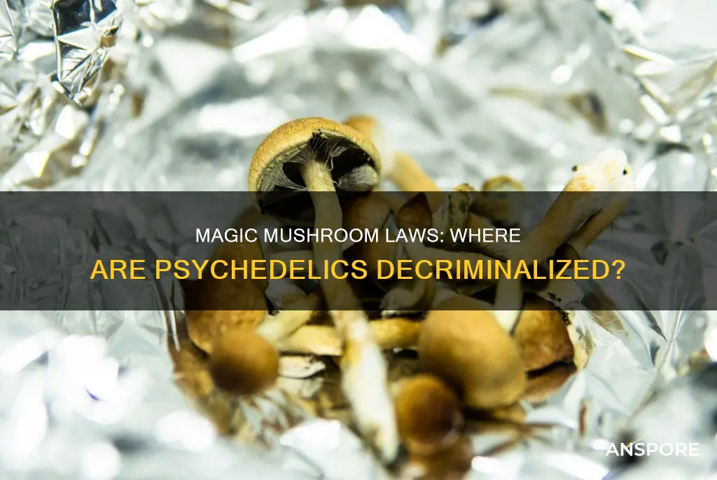 where are psychedelic mushrooms decriminalized