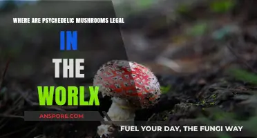 Global Guide: Where Psychedelic Mushrooms Are Legal Worldwide