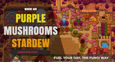 Purple Mushrooms in Stardew: Where to Find Them
