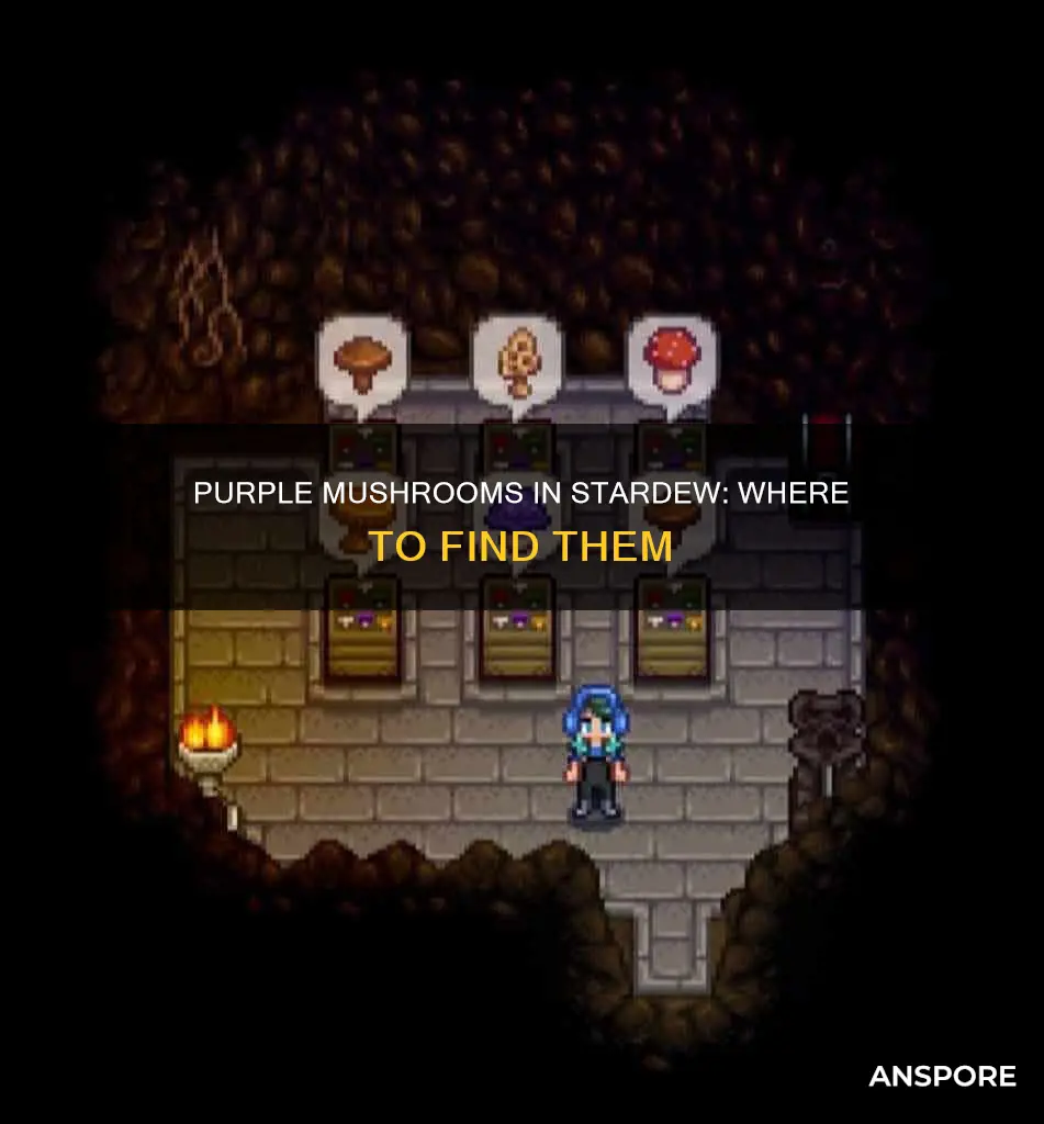 where are purple mushrooms stardew