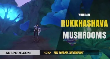 Finding Rukkhashava Mushrooms: A Guide to Their Natural Habitat