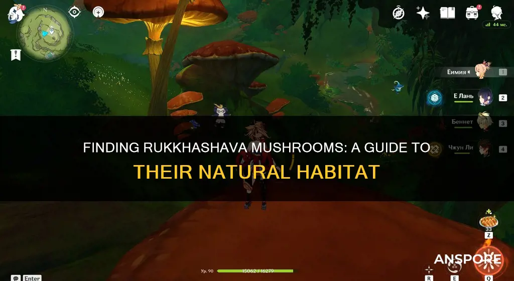 where are rukkhashava mushrooms
