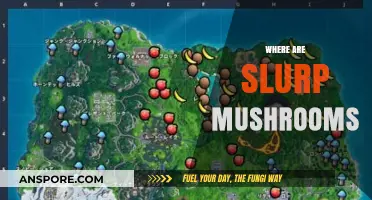 Finding Slurp Mushrooms in the Forest