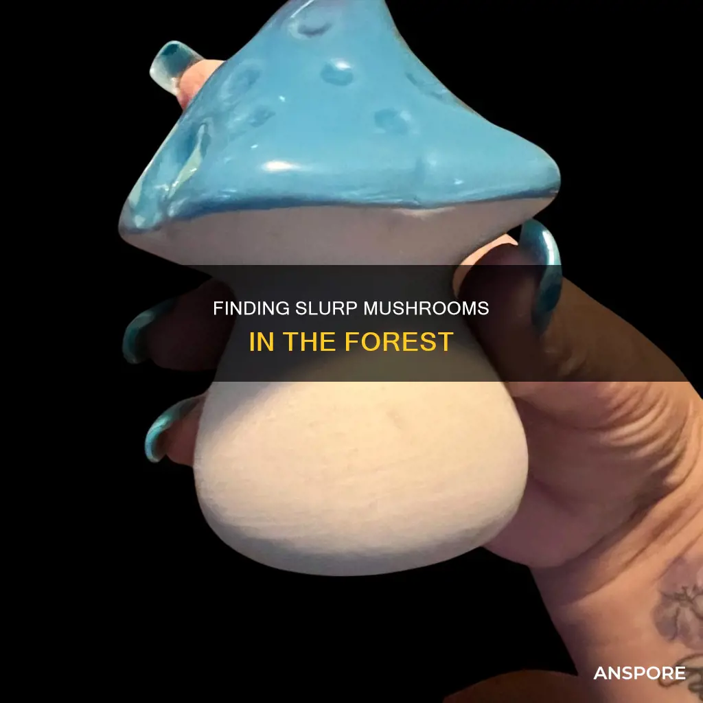 where are slurp mushrooms