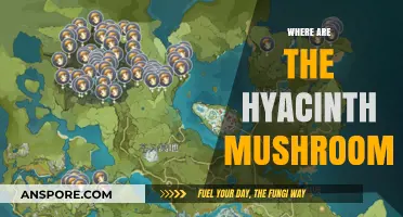 Hyacinth Mushrooms: Where to Find These Delicate Fungi