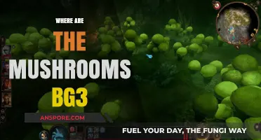 Finding the Mushrooms in BG3: A Guide
