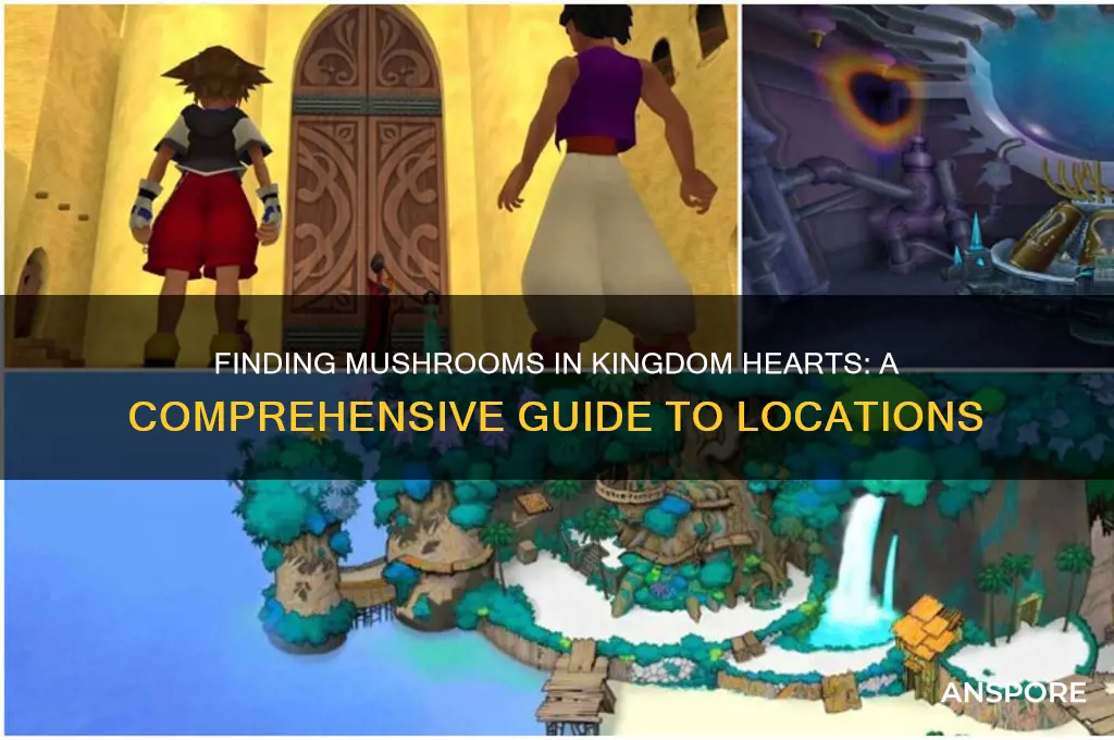 where are the mushrooms in kingdom hearts