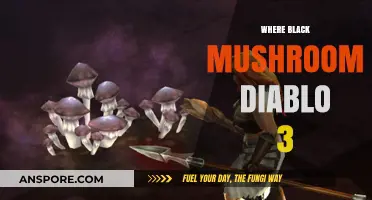Black Mushroom Hunt in Diablo 3