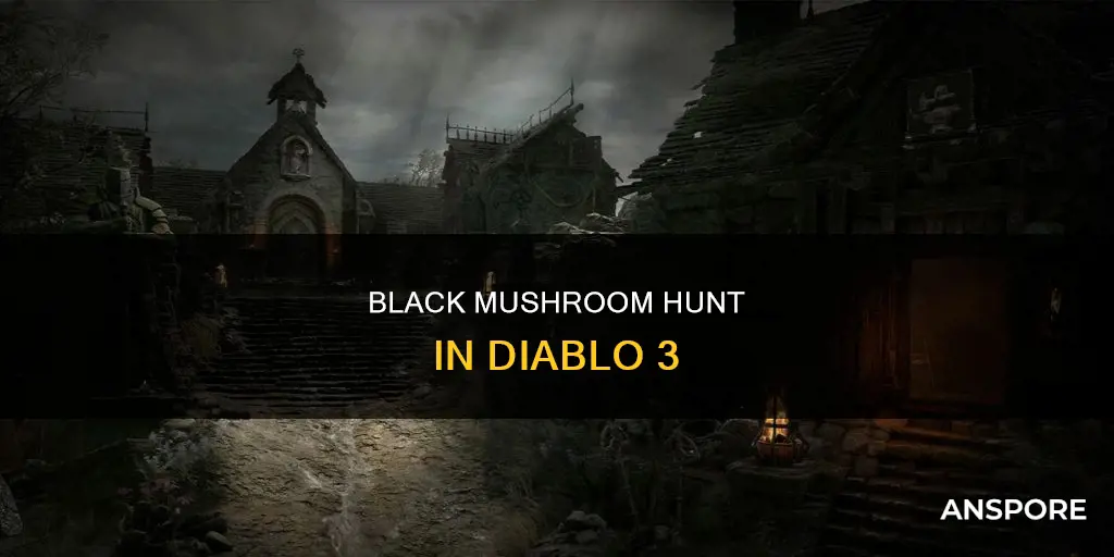 where black mushroom diablo 3