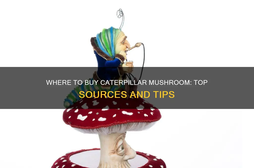 where buy catepillar mushroom