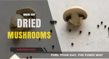 Discover Top Spots to Buy Dried Mushrooms for Culinary Adventures