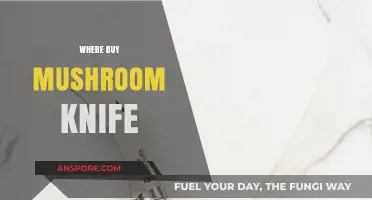 Best Places to Buy a Mushroom Knife for Foraging Enthusiasts