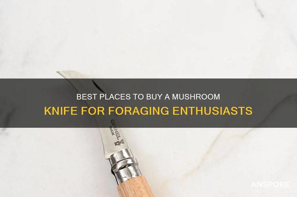where buy mushroom knife