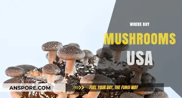 Best Places to Buy Fresh and Exotic Mushrooms in the USA