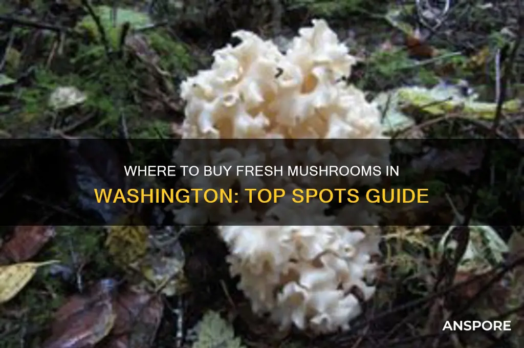 where buy mushrooms washington