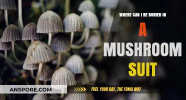 Eco-Friendly Farewell: Mushroom Burial Suit Options and Locations