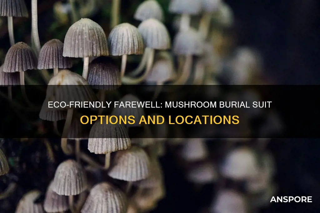 where can i be buried in a mushroom suit