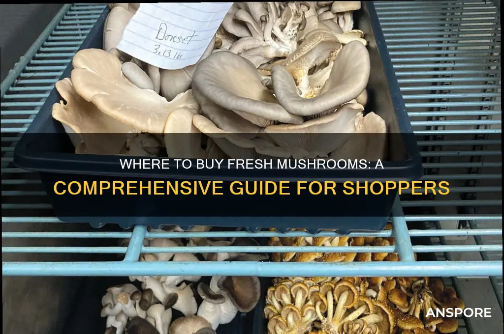 where can i biy mushrooms