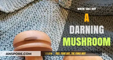 Where to Buy a Darning Mushroom: A Comprehensive Shopping Guide