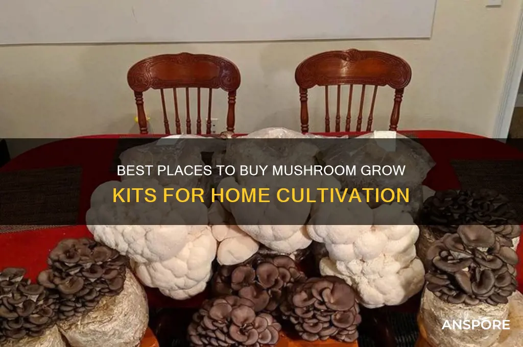 where can i buy a mushroom grow kit