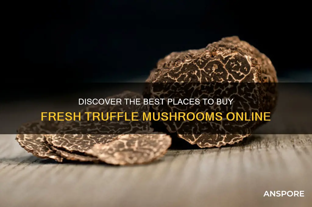where can i buy a truffle mushroom